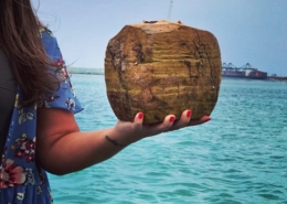 dominican-eats-thumb