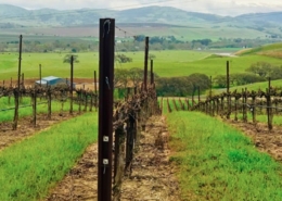 livermore-thumb