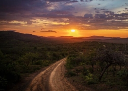 south-africa-thumb