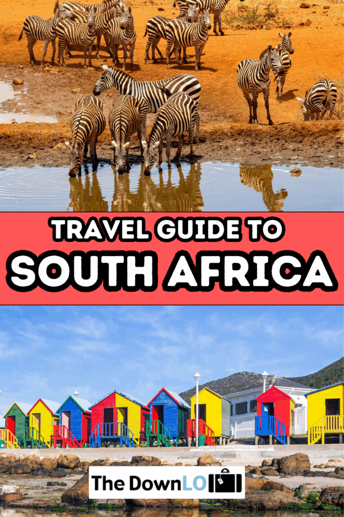 Discover the most unexpected things to do in South Africa—from animal sanctuaries to hidden views and jaw-dropping nature escapes. This isn't your average safari.