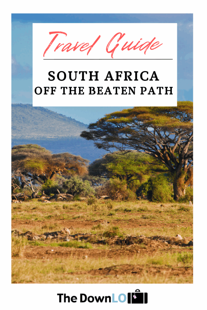 Discover the most unexpected things to do in South Africa—from animal sanctuaries to hidden views and jaw-dropping nature escapes. This isn't your average safari.