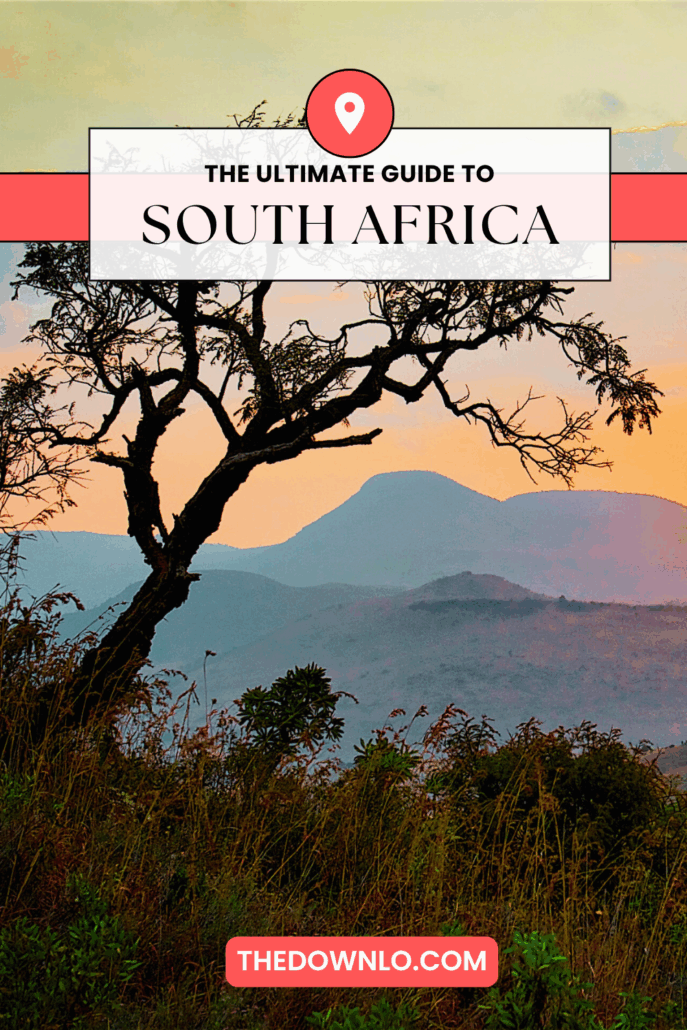 Discover the most unexpected things to do in South Africa—from animal sanctuaries to hidden views and jaw-dropping nature escapes. This isn't your average safari.