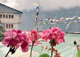 trekking-everest