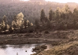 ruidoso nm thumb