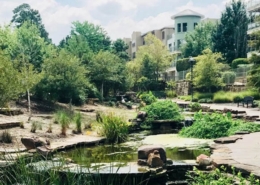 the woodlands thumb