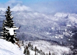 The Best Ski Resorts in Colorado
