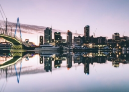 auckland thumb