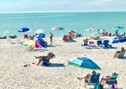 bradenton thumb