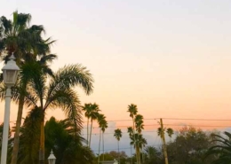 instagram-spots-st-pete-clearwater