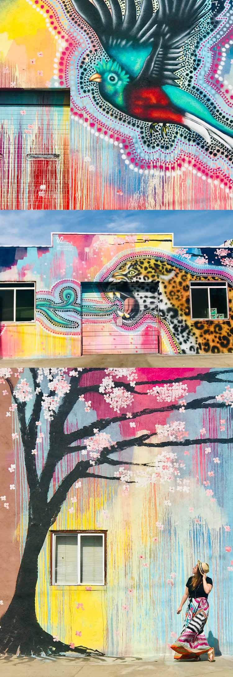 Love photography? The Denver street art scene has exploded with murals and graffiti everywhere you turn. Here are the best ones to blow up the 'Gram and enjoy the art in colorful Colorado. Spoiler: it's one of the best things to do in Denver! #streetart #denver #colorado #usa #graffiti #art #travel #weekendgetaway