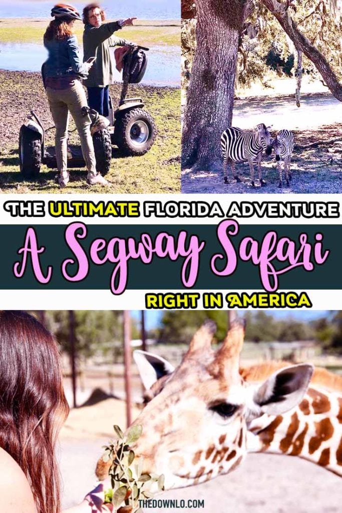 A safari in America? Yes, it's true. Giraffe Ranch in Pasco, Florida (north of Tampa) is an eco-friendly, sustainable, hands-on wild animal encounter. Feed animals like giraffes and practice your landscape photography while zipping around on a Segway. An incredible place to travel with kids. #florida #fl #girafferanch #safari #bucketlist