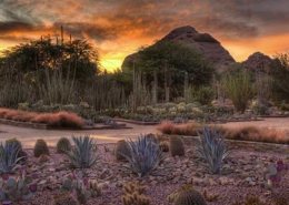 things to do in phoenix in winter
