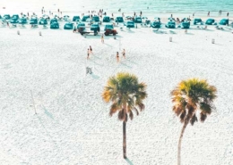 things to do in clearwater fl