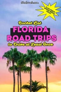 The Ultimate Florida Road Trip Ideas for spring break with kids or solo. Roadtrips across the Sunshine State, best destinations and places to visit for sun, beaches, adventure, nature, and outdoors. Roadtrip bucket list fun for couples, photography, and travel guides for beaches and vacation pictures to inspire your trip to Miami, Destin, the Florida Keys, Orlando, Tampa, Sarasota, Jacksonville and Daytona. #fl #florida #destintions #roadtrips