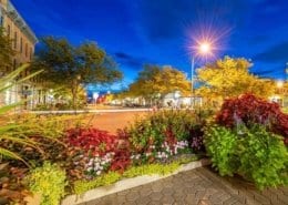 things-to-do-in-fort-collins