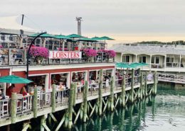 east-coast-USA-road-trip-maine