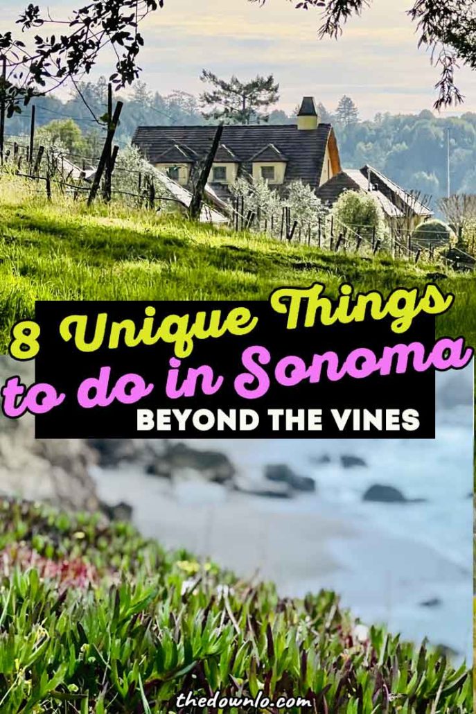 The best things to do in Sonoma County for a California weekend getaway. Plan the perfect trip to wine country for spa time, great restaurants and unique adventure and nature activities. Visit the vineyards, go on Safari and see the ocean.