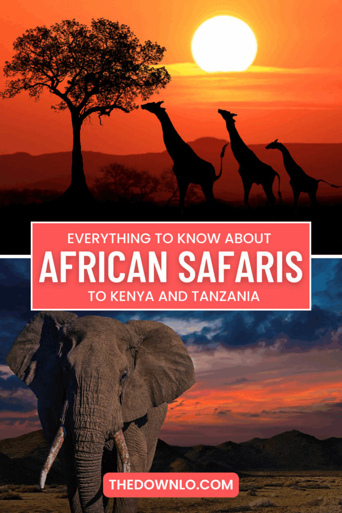 From the Maasai Mara to the Serengeti, this African Safari Adventure in Kenya and Tanzania is straight out of a Nat Geo dream.