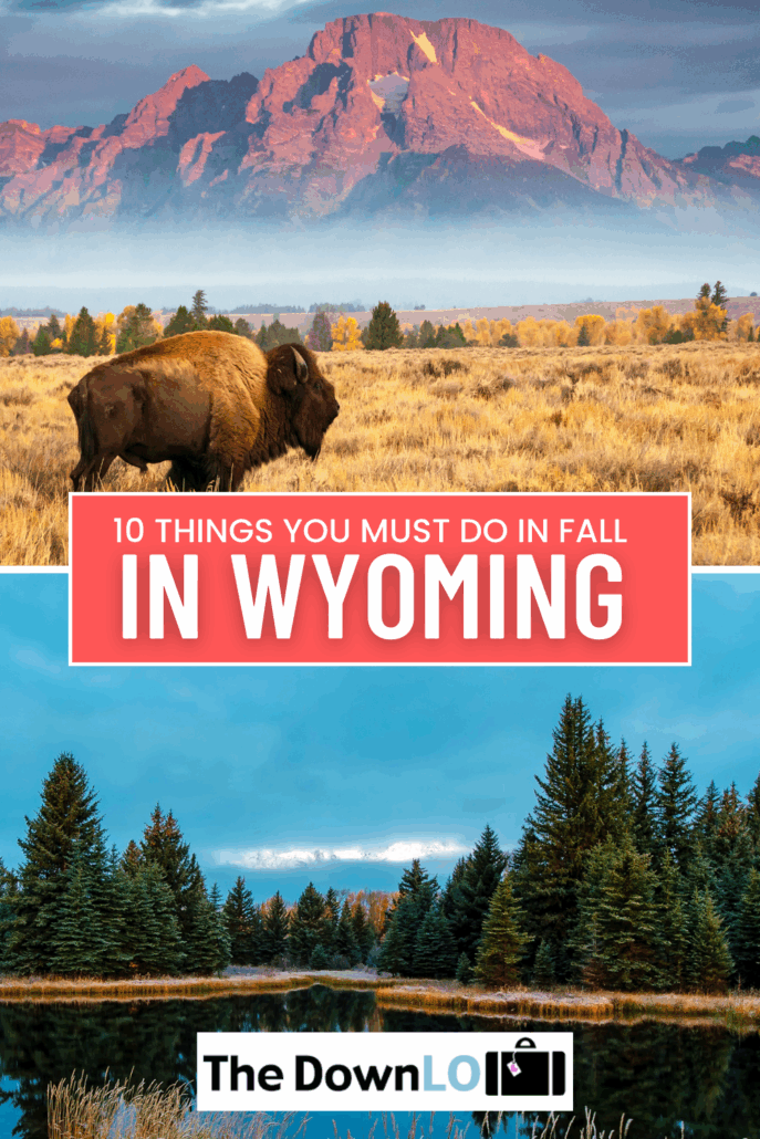 Want all the fall feels with fewer crowds? These cozy, colorful Fall Experiences in Wyoming are calling.