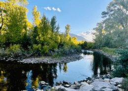bucket list attractions in wyoming