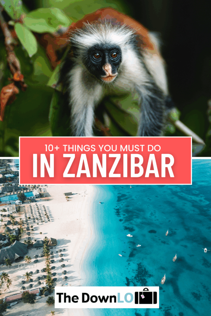 Planning a trip to paradise? Start with these iconic Things to See in Zanzibar that deserve a spot on your itinerary.