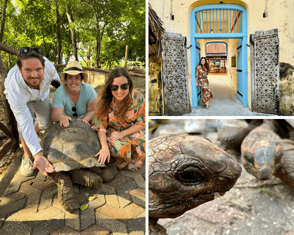 Things to do in Zanzibar - See the Giant Turtles at Prison Island