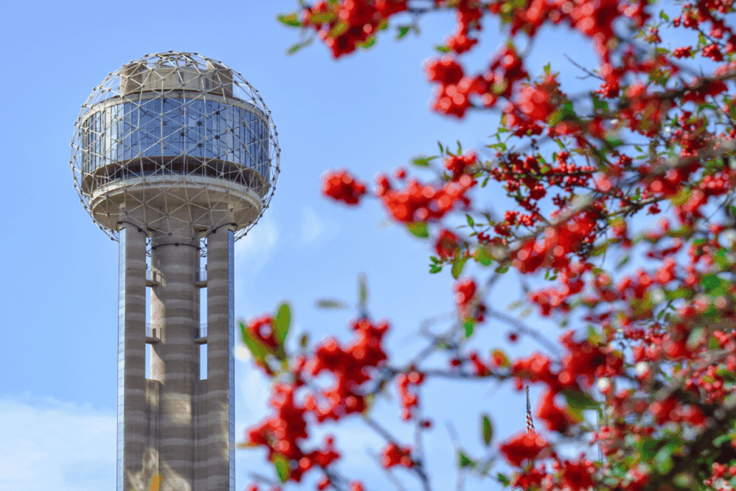 things to do in Dallas tx