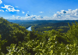 things to do in eureka springs ar, things to do eureka springs arkansas, downtown eureka springs, cabins in eureka springs ar, bars in eureka springs, best place to stay in eureka springs, best lodging in eureka springs ar, best places to stay in eureka springs arkansas, best hotels in eureka springs, caves in eureka springs, best places to eat in eureka springs ar, Eureka Springs attractions, Eureka Springs weekend trip, Eureka Springs dog-friendly, Crescent Hotel haunted, eureka springs working bunnies, working bunnies eureka springs