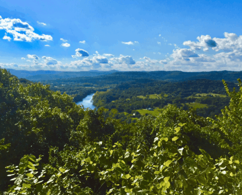 things to do in eureka springs ar, things to do eureka springs arkansas, downtown eureka springs, cabins in eureka springs ar, bars in eureka springs, best place to stay in eureka springs, best lodging in eureka springs ar, best places to stay in eureka springs arkansas, best hotels in eureka springs, caves in eureka springs, best places to eat in eureka springs ar, Eureka Springs attractions, Eureka Springs weekend trip, Eureka Springs dog-friendly, Crescent Hotel haunted, eureka springs working bunnies, working bunnies eureka springs