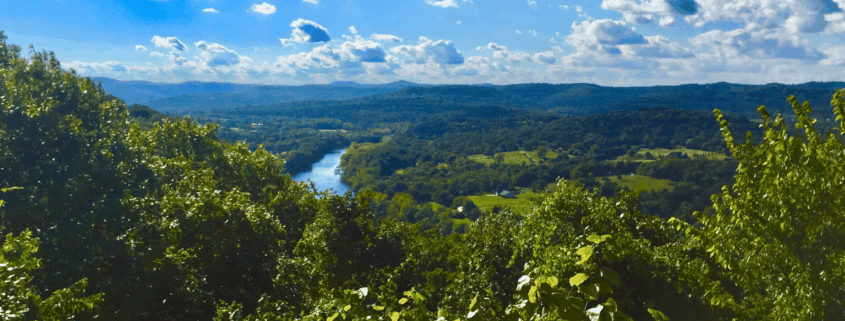 things to do in eureka springs ar, things to do eureka springs arkansas, downtown eureka springs, cabins in eureka springs ar, bars in eureka springs, best place to stay in eureka springs, best lodging in eureka springs ar, best places to stay in eureka springs arkansas, best hotels in eureka springs, caves in eureka springs, best places to eat in eureka springs ar, Eureka Springs attractions, Eureka Springs weekend trip, Eureka Springs dog-friendly, Crescent Hotel haunted, eureka springs working bunnies, working bunnies eureka springs