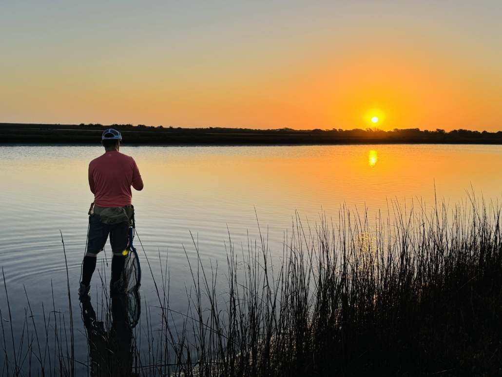 matagorda beach bay city texas fishing