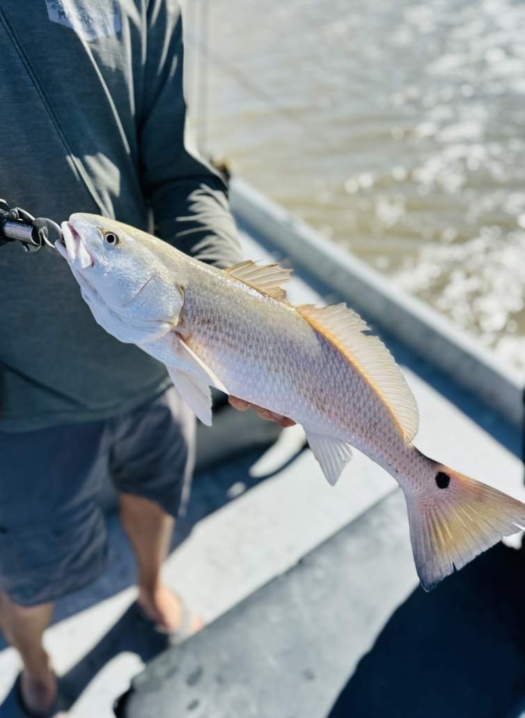 matagorda county bay city texas fishing
