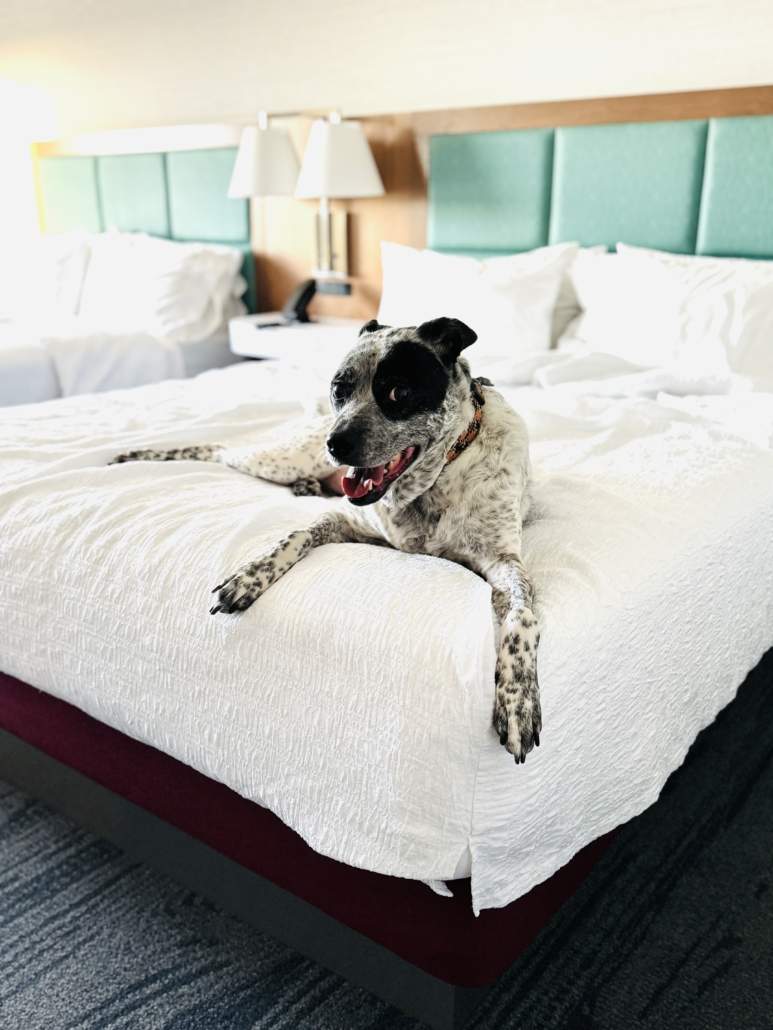 hotels in matagorda tx bay city